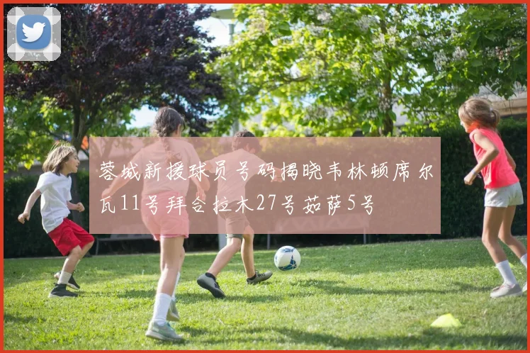 蓉城新援球员号码揭晓韦林顿席尔瓦11号拜合拉木27号茹萨5号