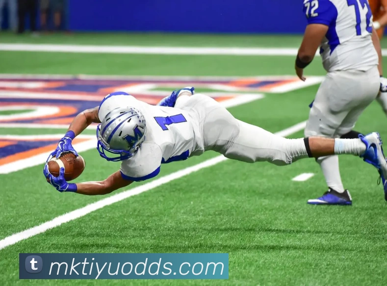 App Interface Preview