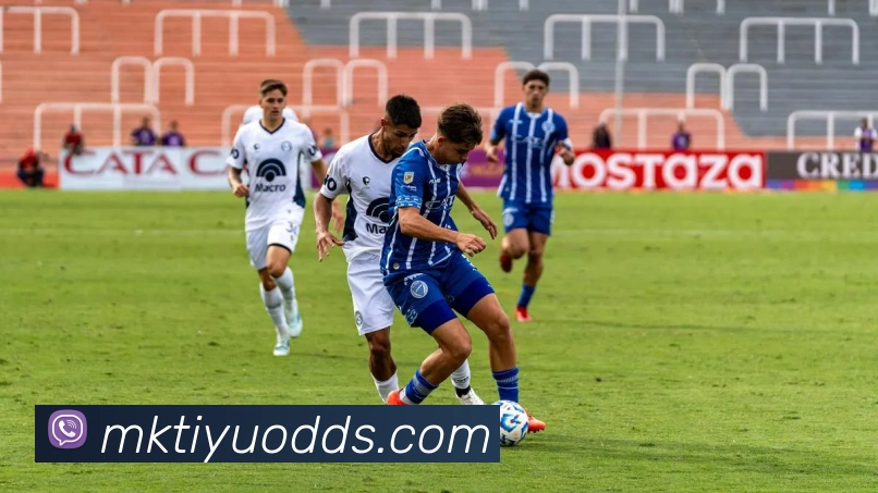 MK体育APP 封面图