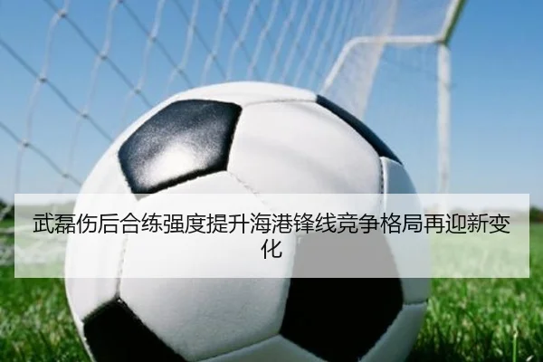 武磊伤后合练强度提升海港锋线竞争格局再迎新变化（mksports）
